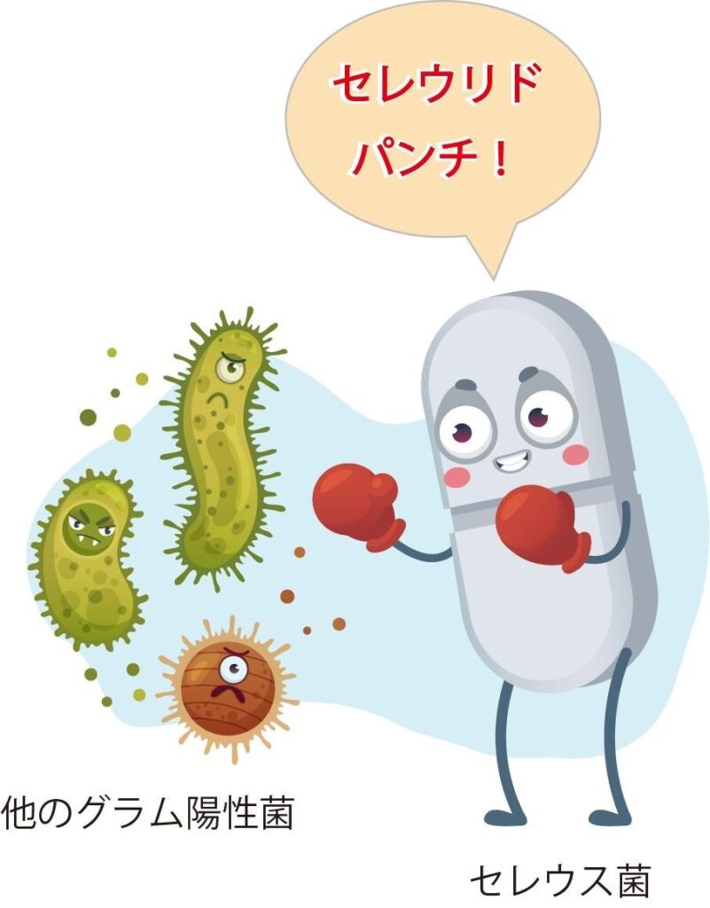 セレウリドでた細菌を攻撃するセレウス菌