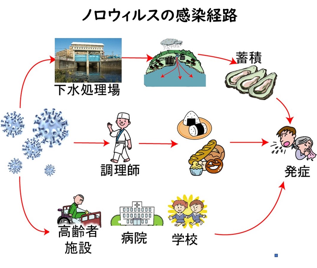食中毒分類表一覧 – 食中毒 種類 一覧表 わかりやすい – TGOC