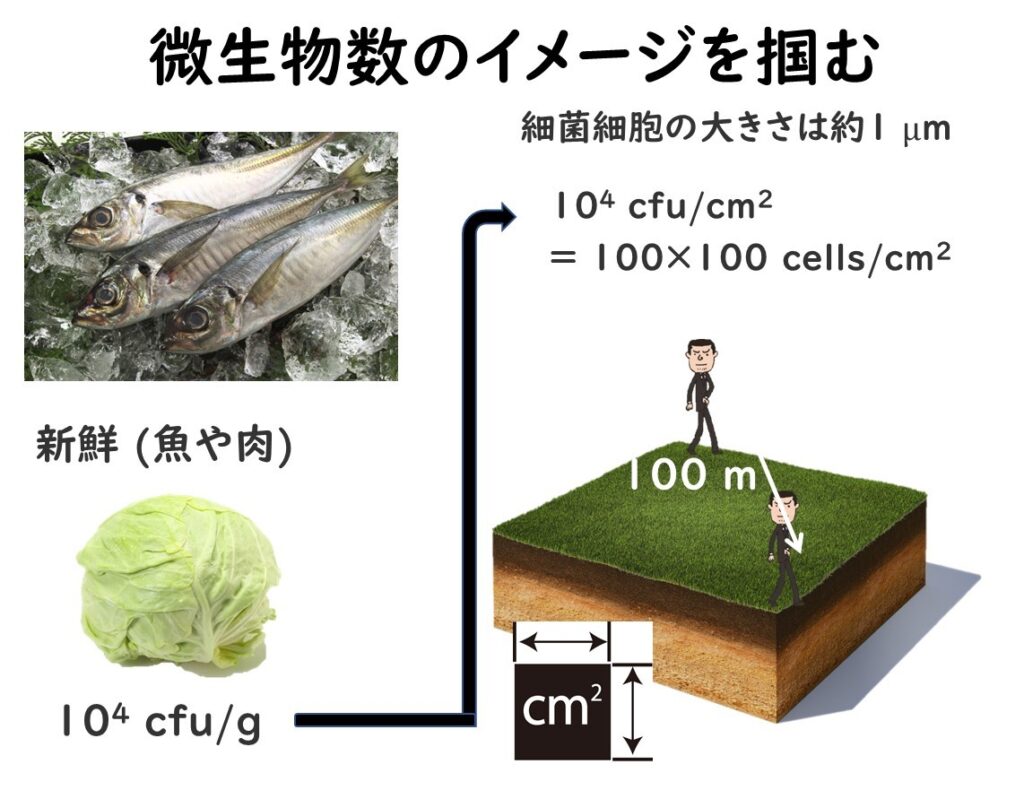 食品中の一般生菌数の目安や基準値の理由、データの読み方を理解 食品中の一般生菌数の目安や基準値の理由、データの読み方を理解