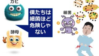 酵母とカビについて | 食品微生物学（検査と制御方法）｜基礎と