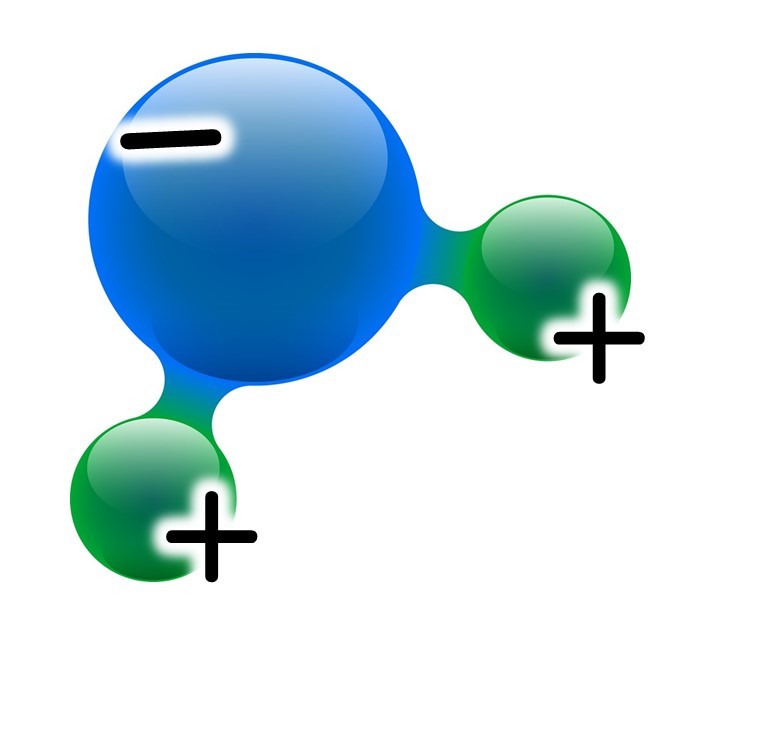極性の水分子