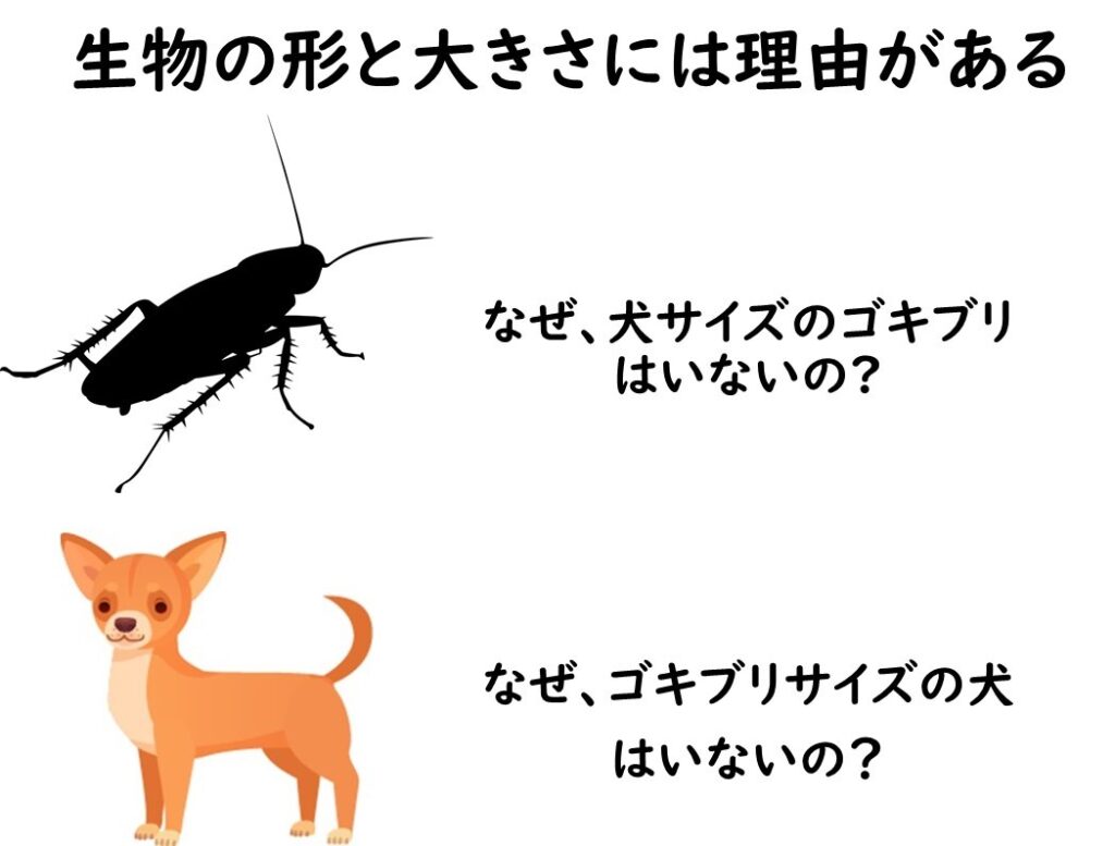 ゴキブリと犬のサイズ