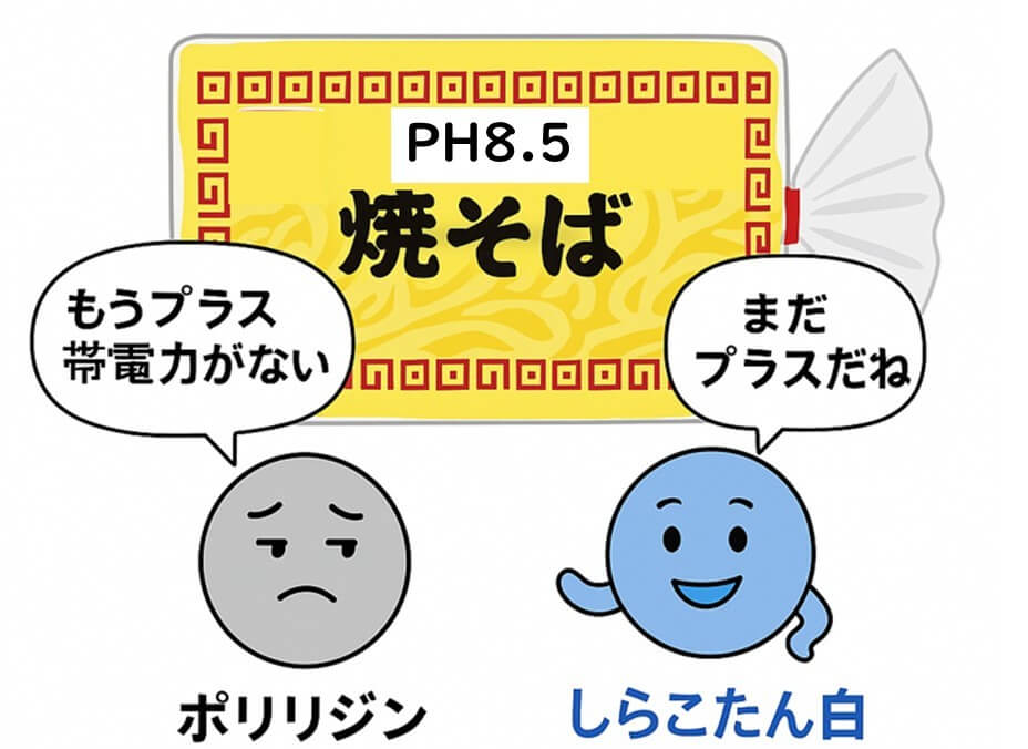 pH8.5の焼きそばの前で、ポリリジンが「もうプラス帯電力がない」と発言し、しらこたん白（ポリアルギニン）が「まだプラスだね」と答えているイラスト