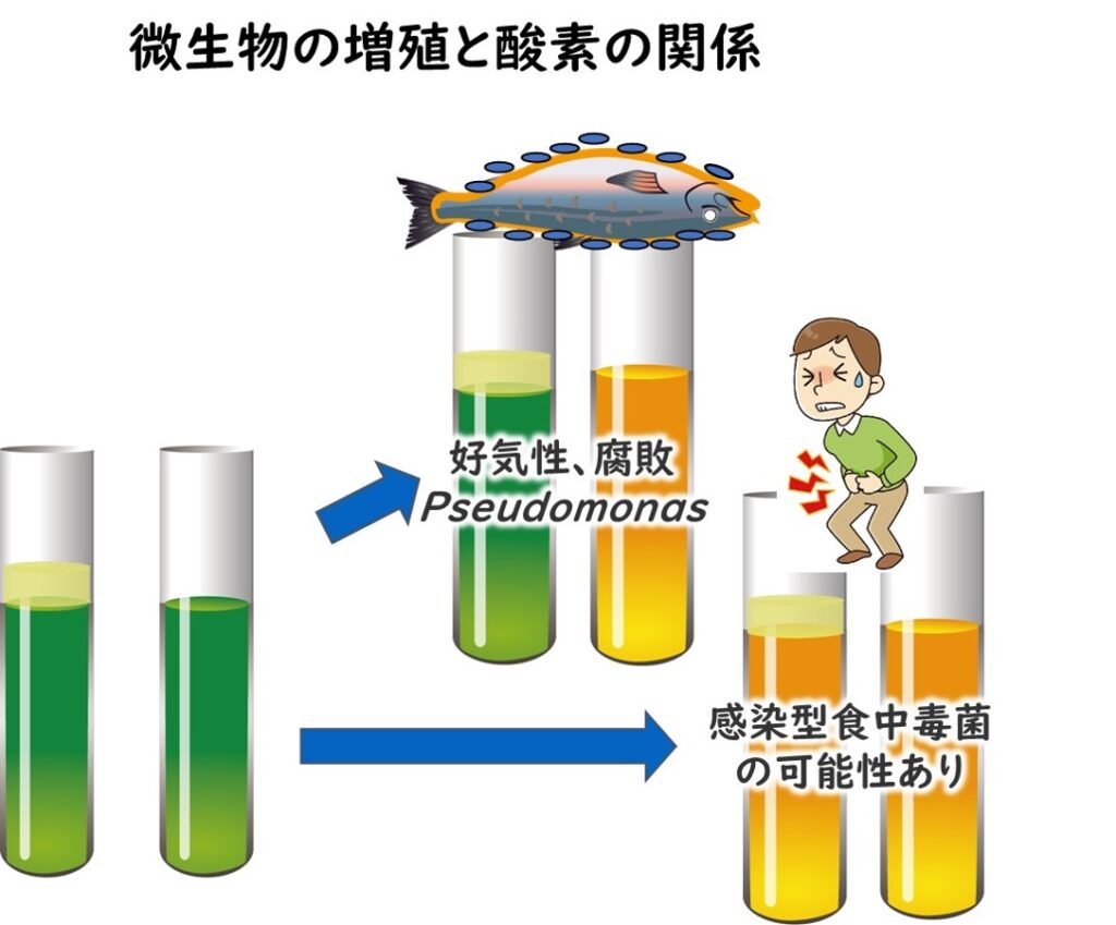 グラム陰性菌の整理に必要なOF試験判定 | 食品微生物学（検査と制御