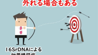 遺伝子検査による微生物の同定 | 食品微生物学（検査と制御方法