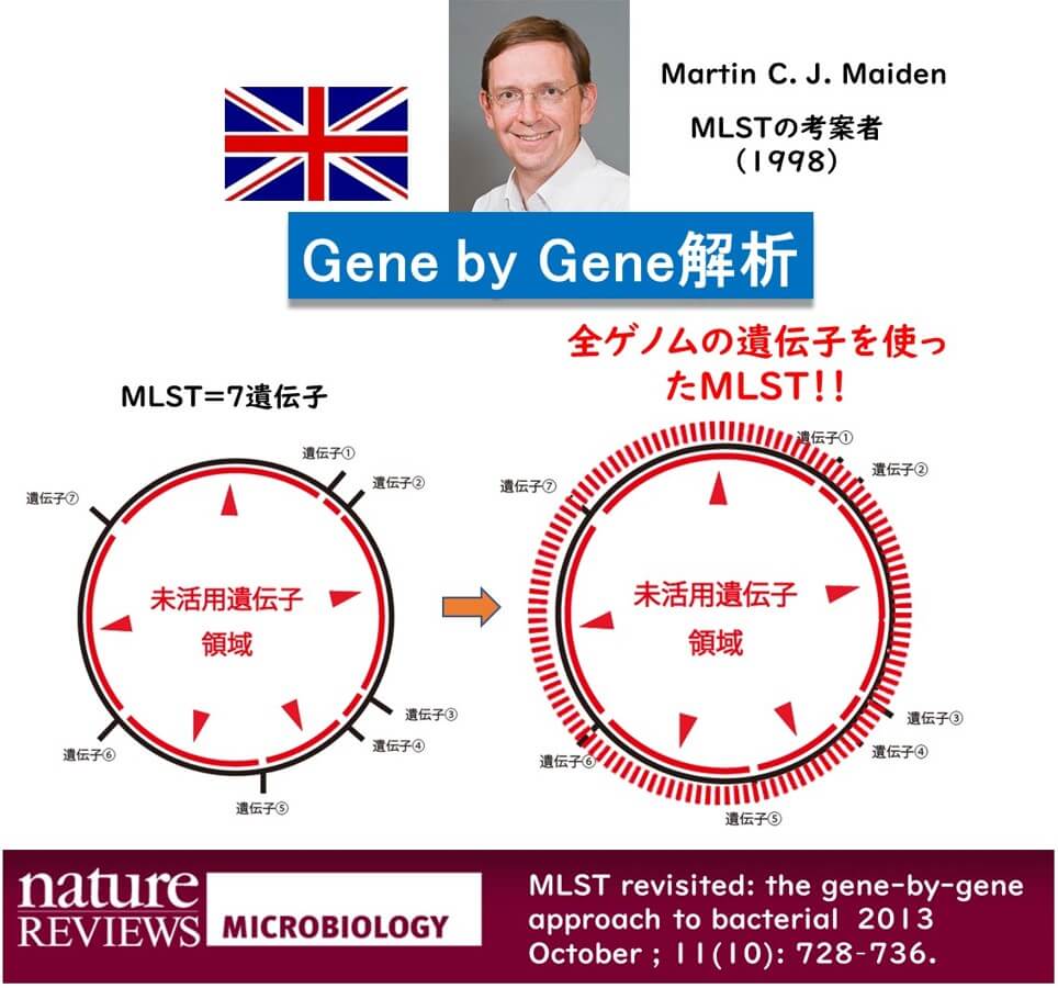 whole genome MLST