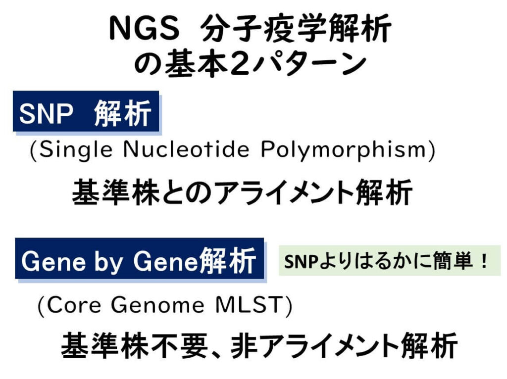 SNPとgene by gene解析