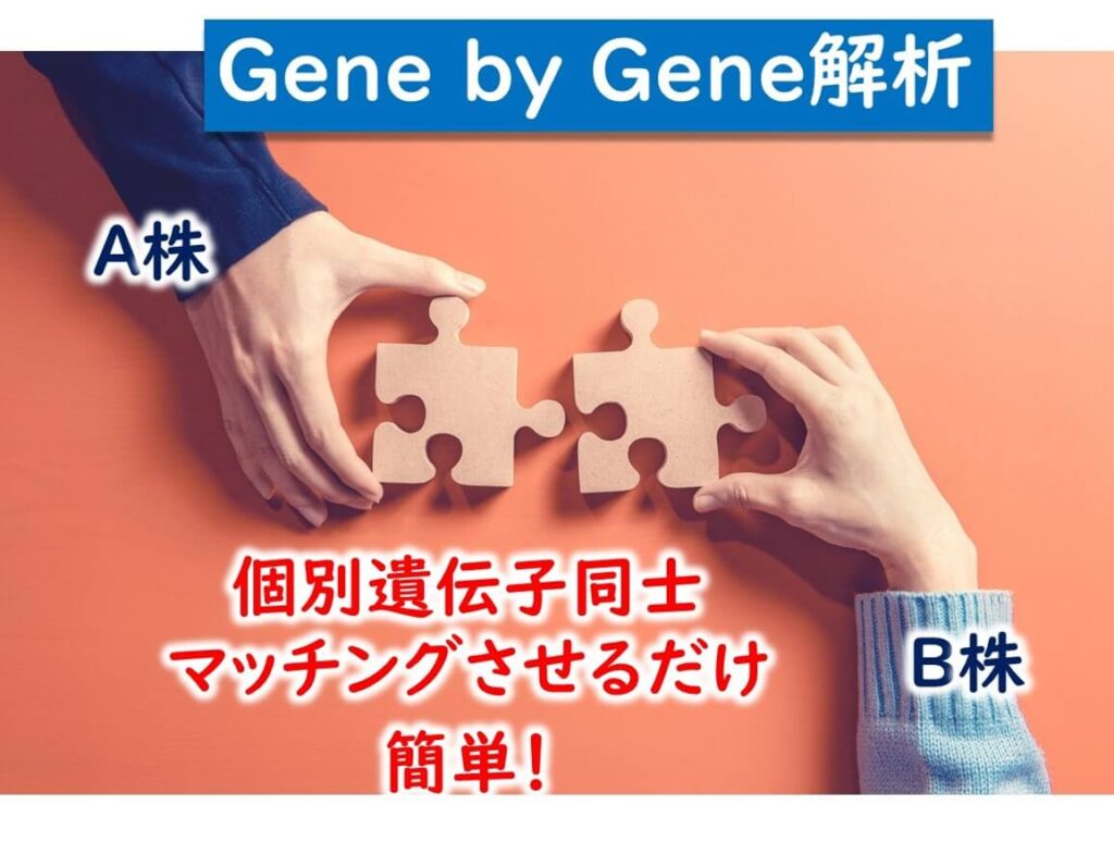 gene by gene解析の原理２