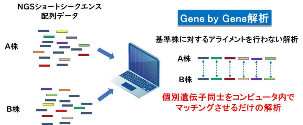 gene by gene解析の原理
