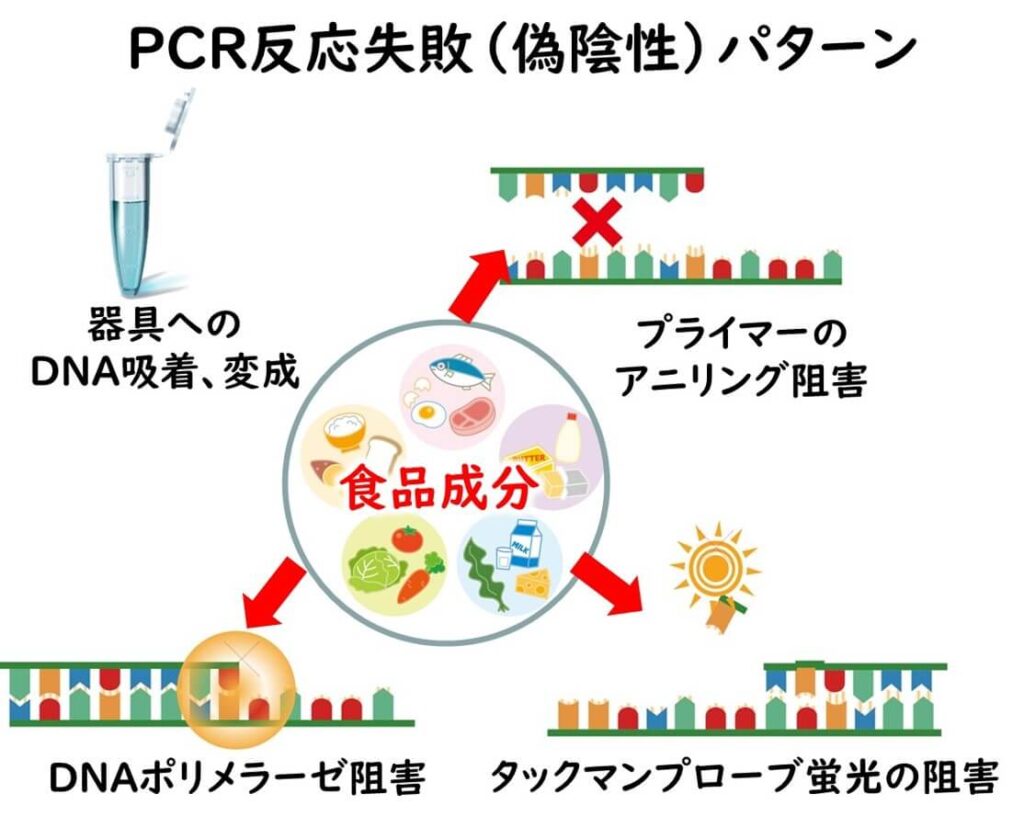 PCR反応の偽陰性を引き起こす様々な要因