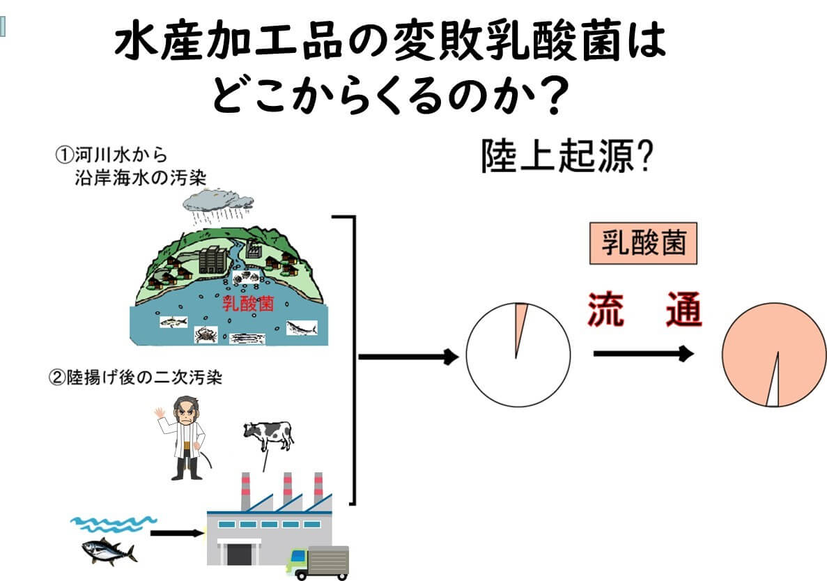 食品微生物学辞典・食品の腐敗と微生物