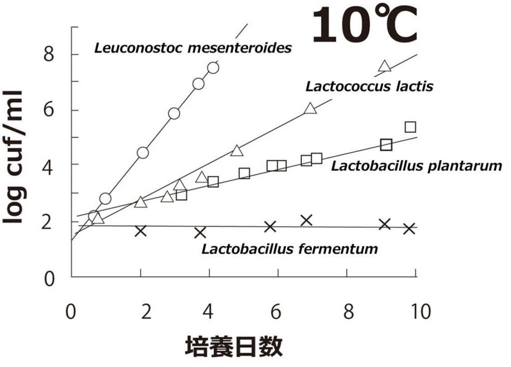 さまざまな乳酸菌の10°Cでの増殖