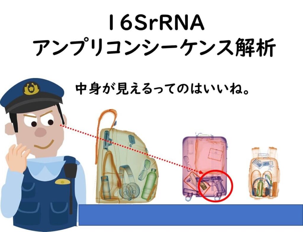 16SrRNAアンプリコンシーケンスを用いることによって、荷物の中に身までが分かる
