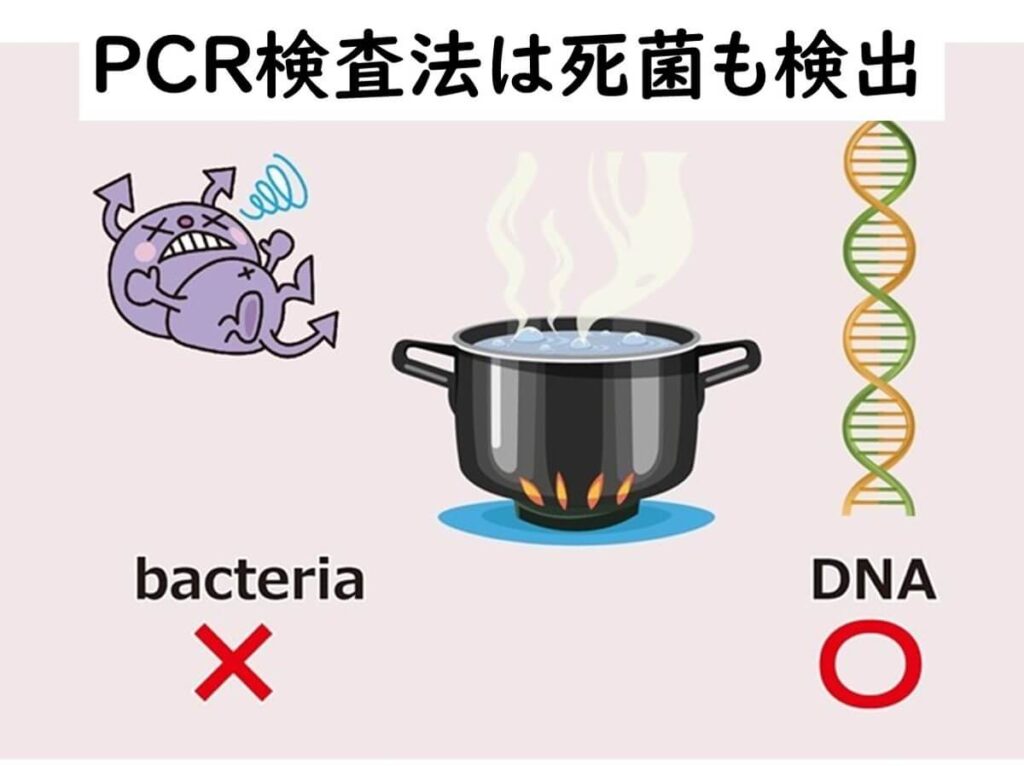 PCR反応では死菌も検出