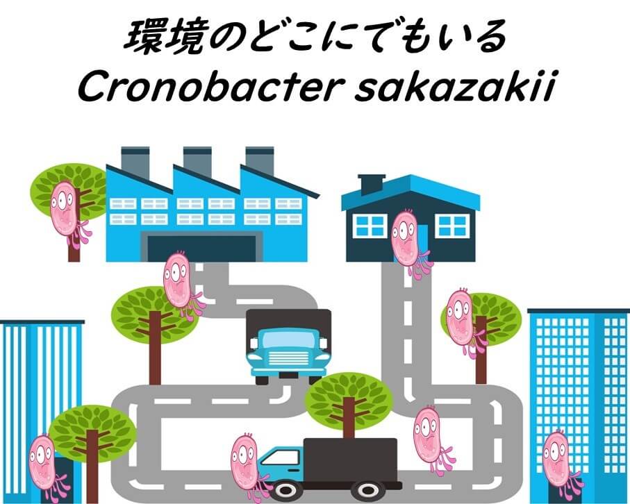 環境のどこにでもいるCronobacter sakazakii