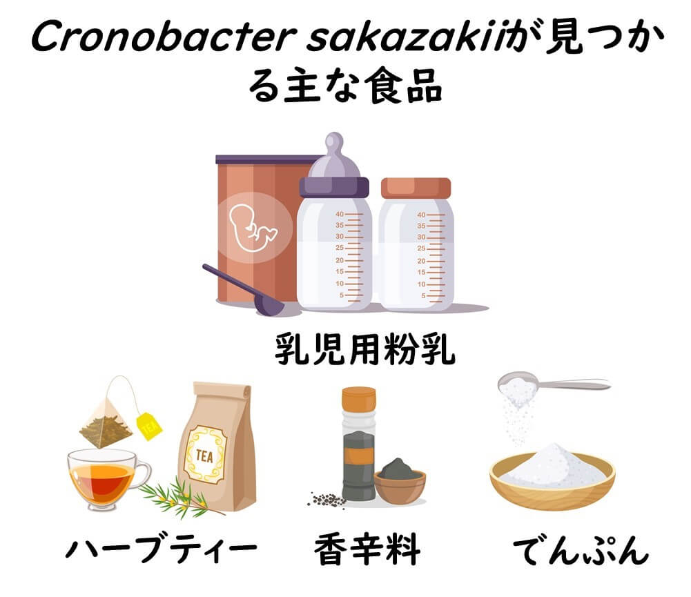 Cronobacter sakazakiiが見つかる主な食品