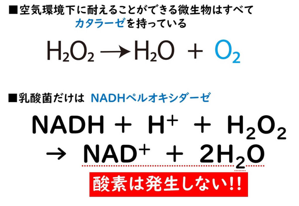 カタラーゼとNADペルオキシダーゼの反応式