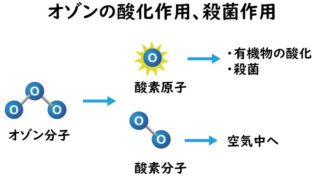 オゾン殺菌 | 食品微生物学（検査と制御方法）｜基礎と最新情報を解説