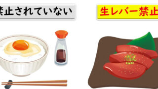 腸内細菌 概論，Ｓａｌｍｏｎｅｌｌａ属 上巻 第３版/近代出版（東京）/坂崎利一（単行本） 腸内細菌 概論，Salmonella属 上巻 第3版/近代出版