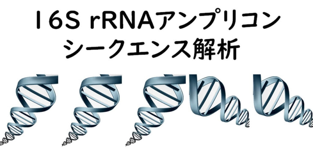 16S ribosomal rnaアンプリconsequence解析