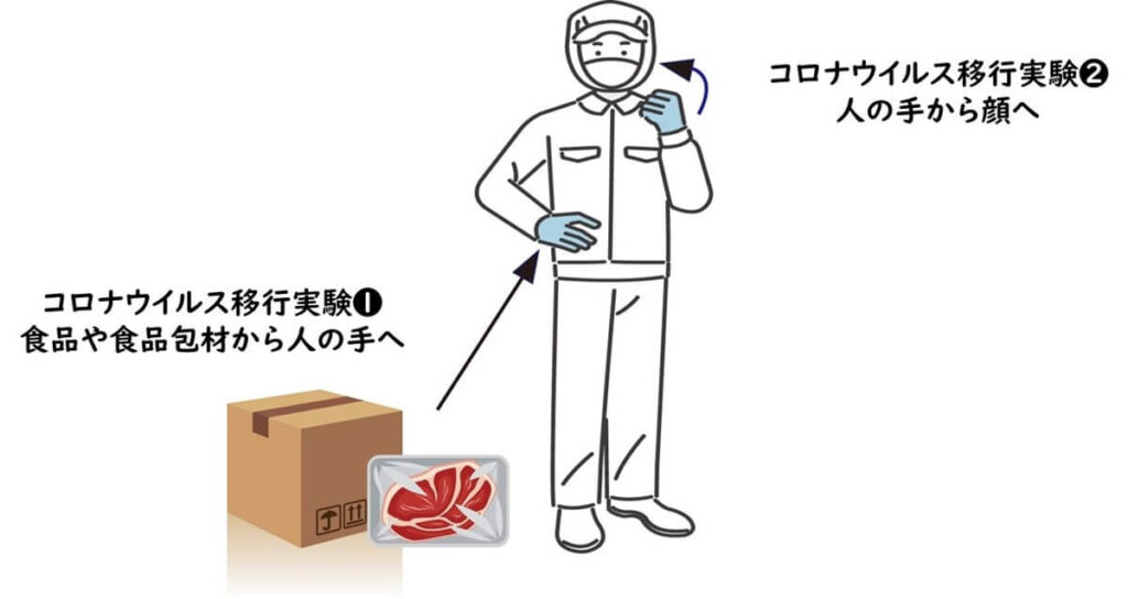 ダンボールや食品から手を介して工場労働者に感染する可能性を示すイラスト
