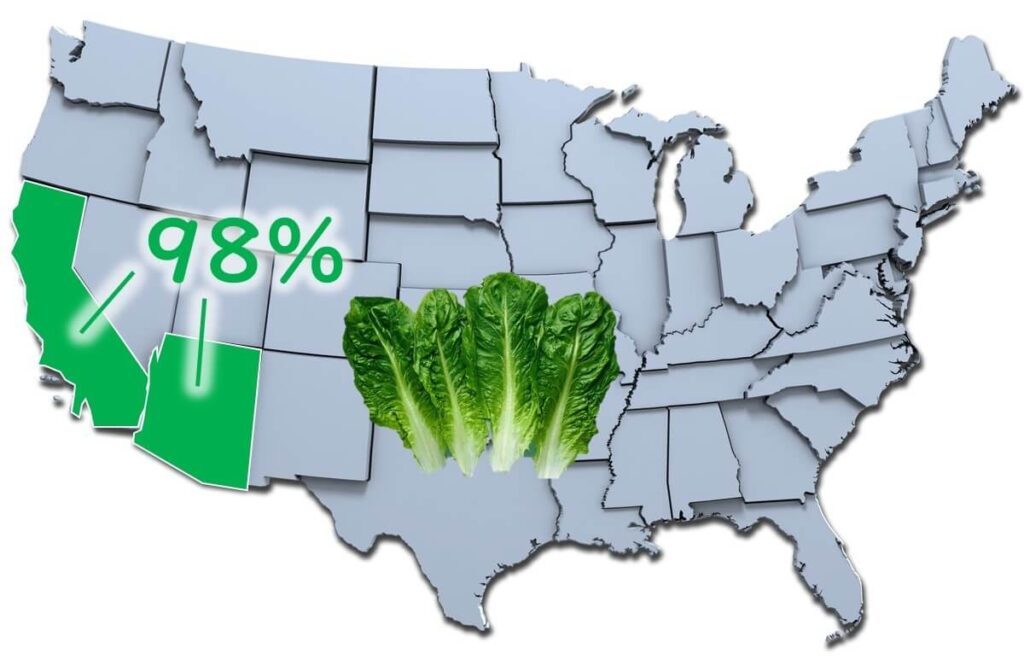 米国での葉物野菜の栽培の多い二つの州