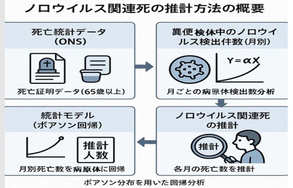ギリスにおけるノロウイルス関連死を推計する方法を示したフローチャート。死亡統計データ、糞便中の病原体検出件数、ポアソン回帰モデルを経て、最終的な死亡数を推定する4段階のプロセスを視覚化している。