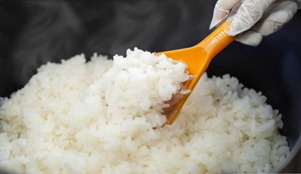炊飯された米飯のイメージ。