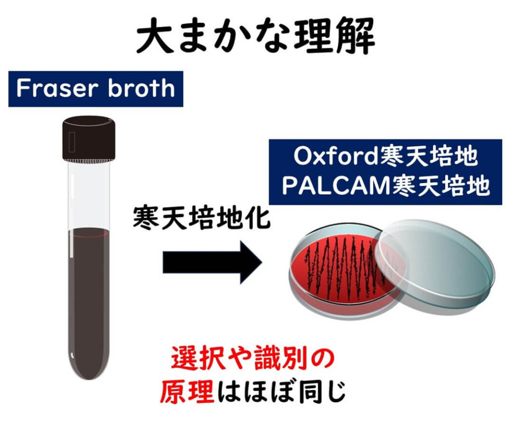 パルカム培地などの大まかな理解