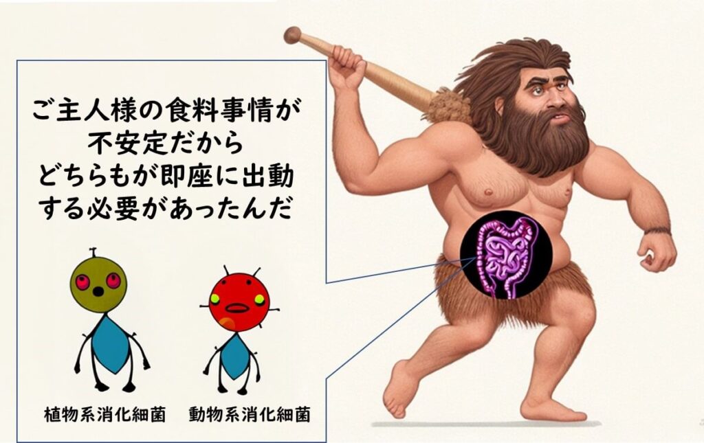 原始人の中の腸内のイラスト