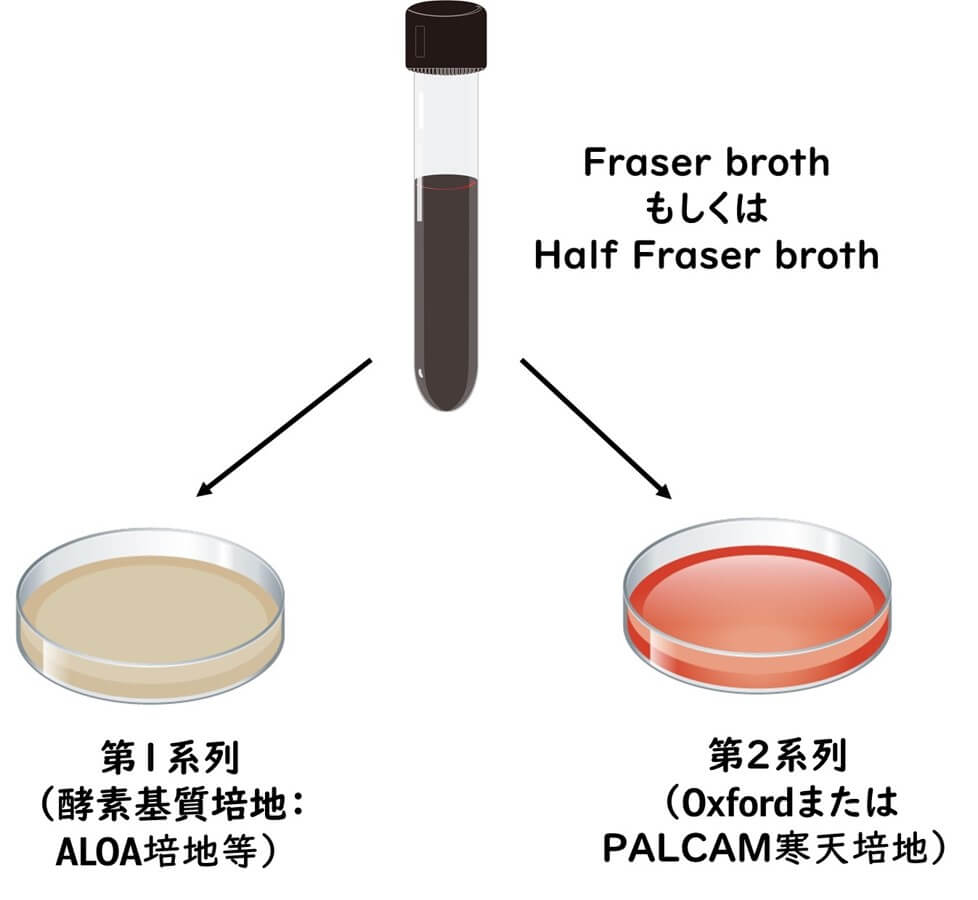 リステリア分離培養図式