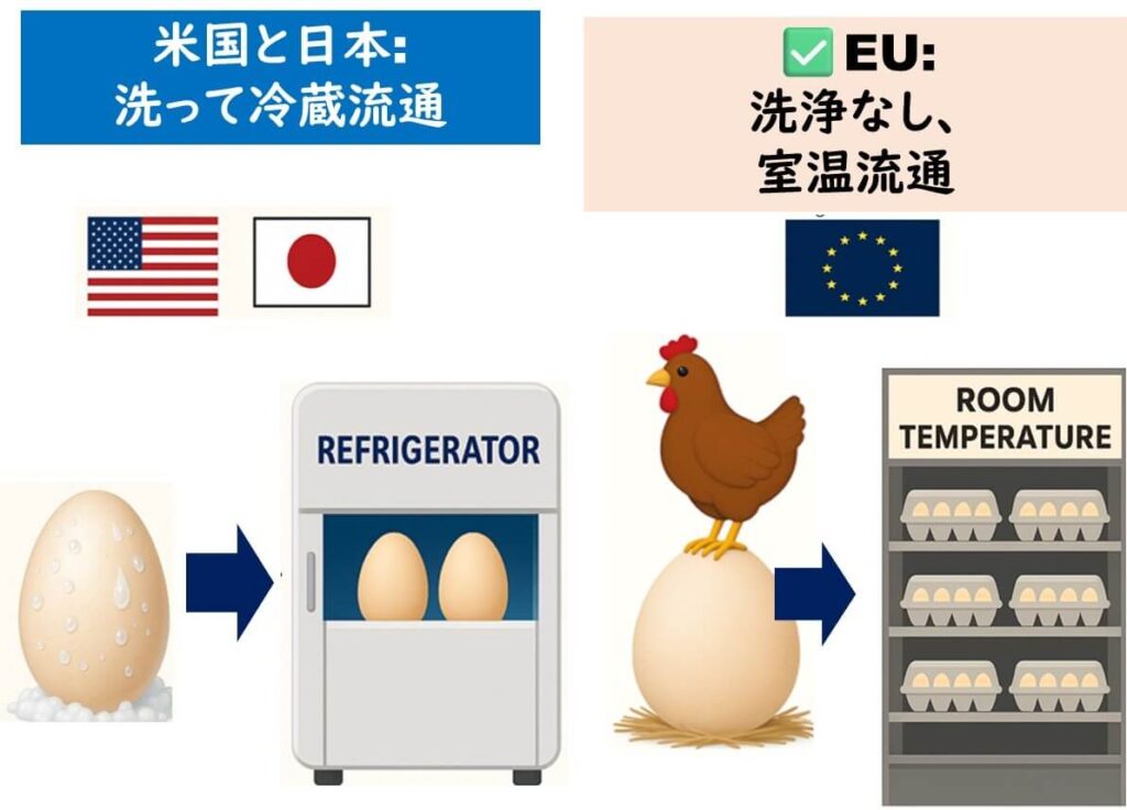米国と日本では卵を洗浄して冷蔵流通、EUでは洗浄せず室温流通していることを比較した図。冷蔵庫と常温棚に卵を置いたイラストが並び、各地域の国旗と流通方法が示されている