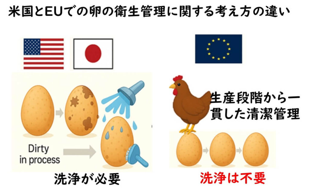 米国・日本とEUにおける卵の衛生管理の考え方の違いを示した比較図。米国と日本では汚れた卵を洗浄する必要があるのに対し、EUでは鶏舎段階から清潔に保つことで洗浄が不要とされている様子がイラストで表現されている
