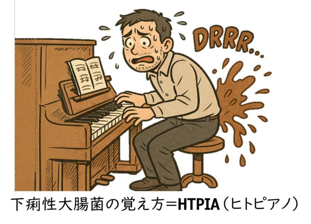 ピアノ演奏中に下痢をして慌てている男性のイラスト。「下痢性大腸菌の覚え方=HTPIA(ヒトピアノ)」という覚え方を視覚的に示し、病原型大腸菌の分類を記憶しやすくする工夫を表している。