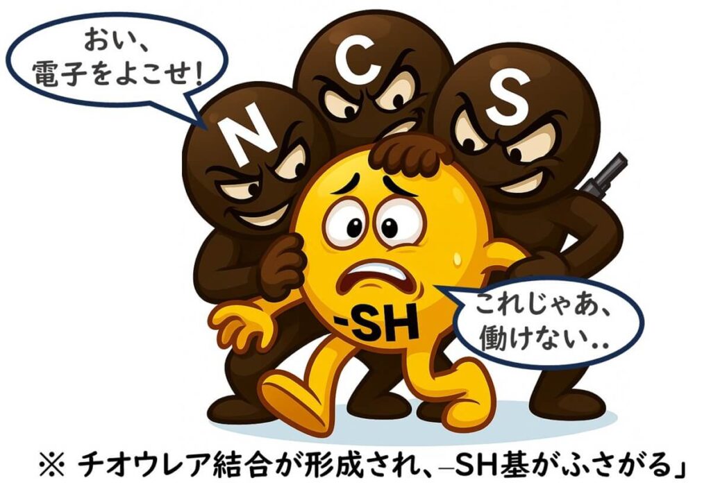 チオール基（–SH）のキャラクターが、N、C、Sの3人組のダークキャラクターに囲まれ、電子を奪われて困っている様子。チオウレア結合の形成によって酵素活性部位が塞がれ、機能が失われることを表現している。