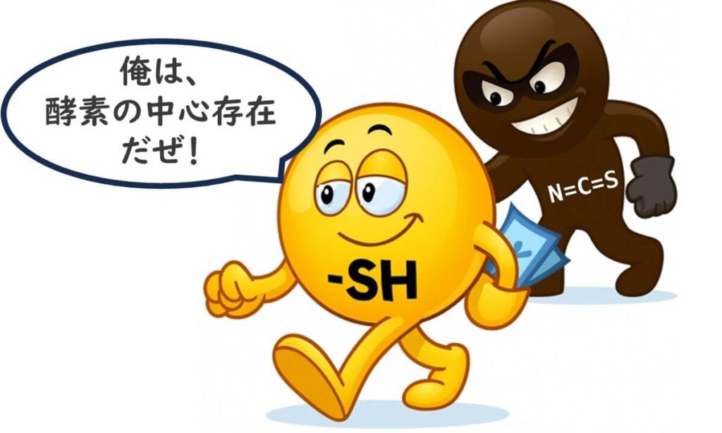 お金（電子）を持ったチオール基（–SH）のキャラクターが歩いているところを、イソチオシアネート（N=C=S）のキャラクターが背後から狙っているイラスト。チオール基の高い反応性を象徴している。