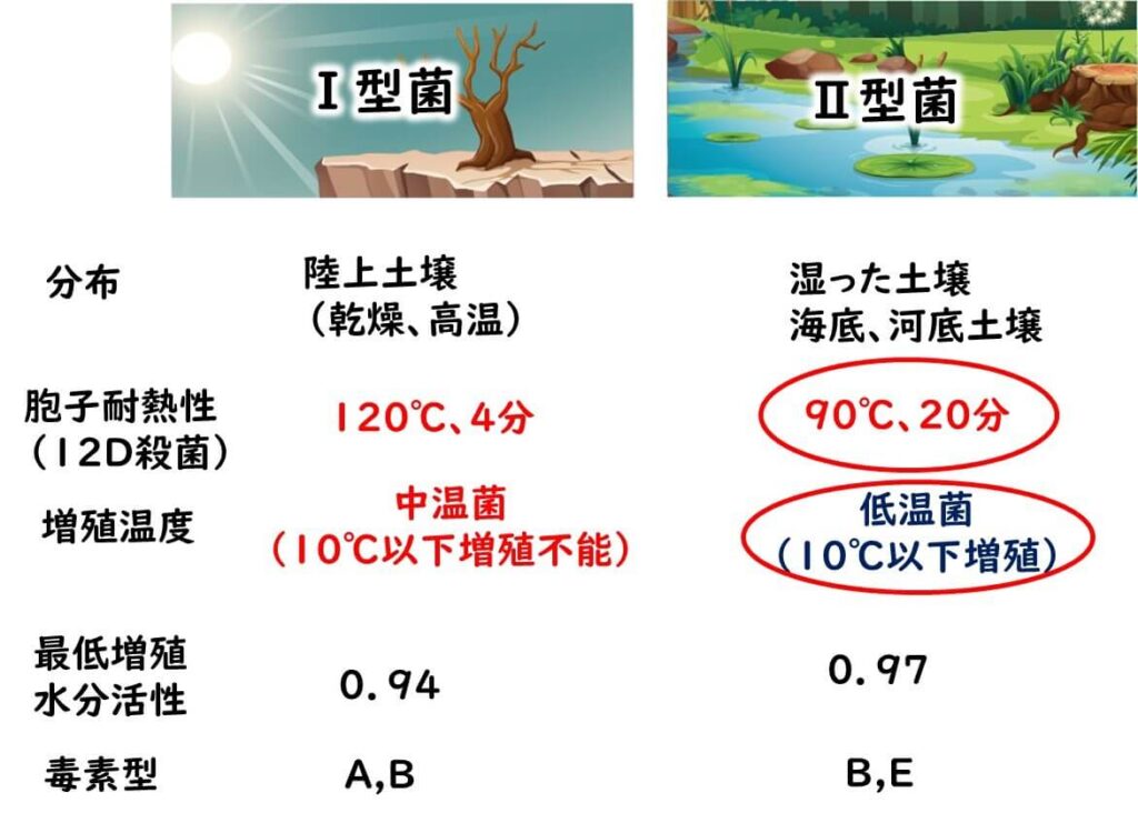 ボツリヌス一型菌（I型菌）とボツリヌス二型菌（II型菌）の違いを示す図。I型菌は乾燥した高温の土地に分布し、120°Cで4分間の加熱処理が必要で、増殖温度は10°C以下で増殖しない。II型菌は湿った土壌や海底、河底に分布し、90°Cで20分間の加熱処理が必要で、低温でも増殖可能である。