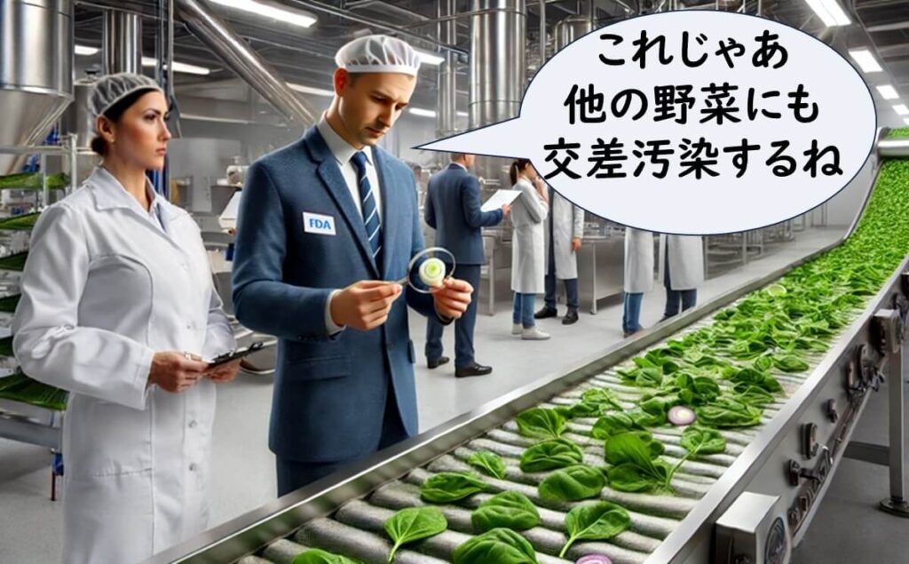 生産ラインで異なる野菜が交差汚染されるリスクを指摘しているFDAの査察官たち。適切な分別が重要であることを強調しています。