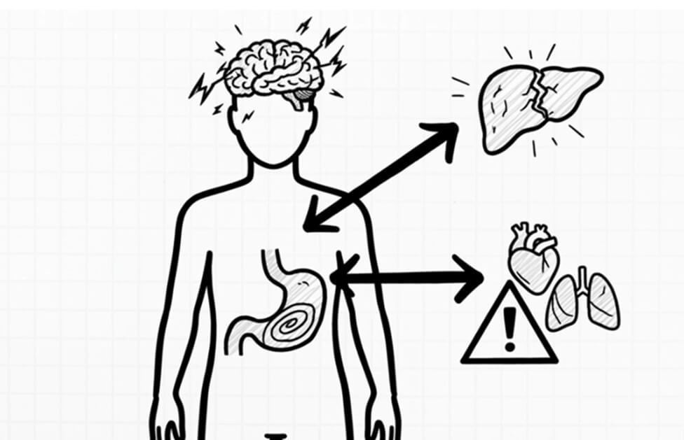 セレウリドによる嘔吐に加え肝臓・脳・心肺など多臓器への重篤な健康影響を示す概念図