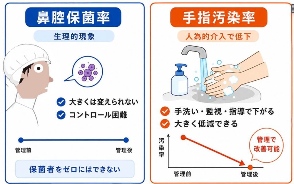 鼻腔保菌率は生理的現象で大きく変えにくい一方、手指汚染率は手洗いや監視・指導によって大きく低減できることを示す比較図