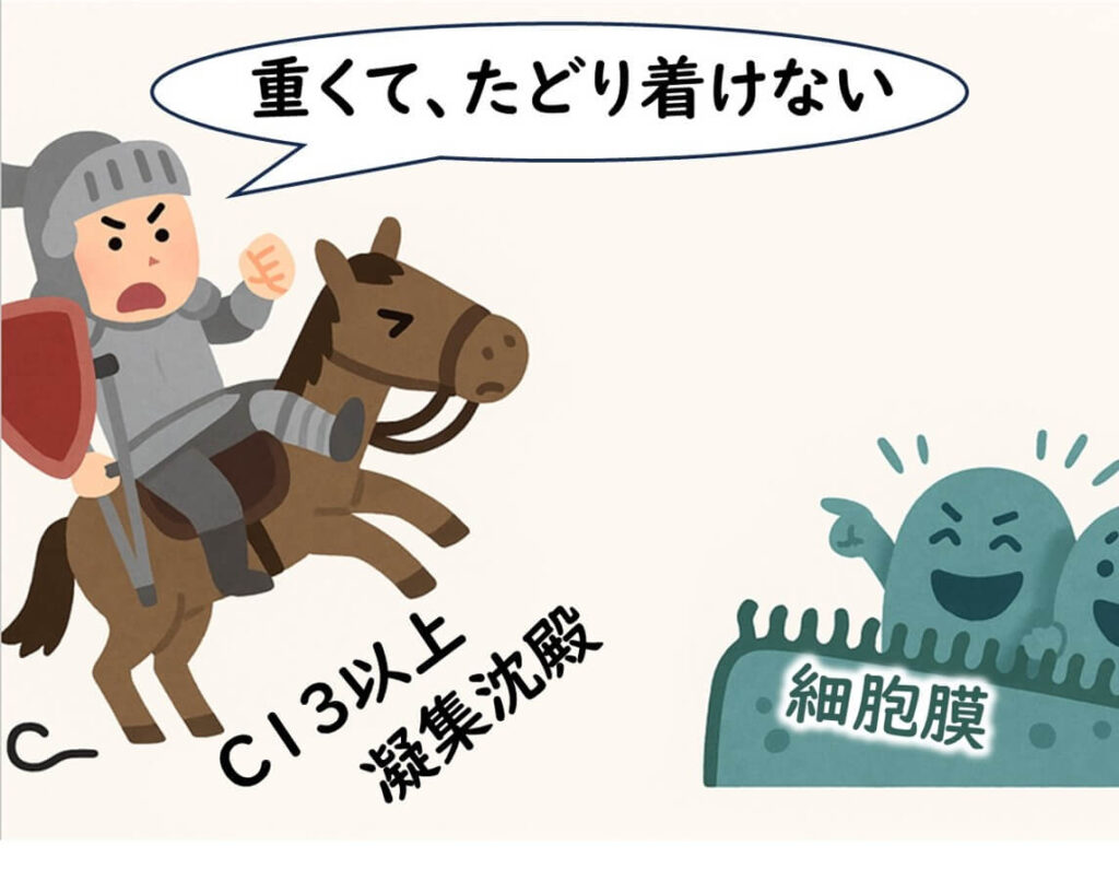 鎖長が長すぎて溶解しにくくなり、細胞膜に届かないC13以上の界面活性剤を騎士で表現。